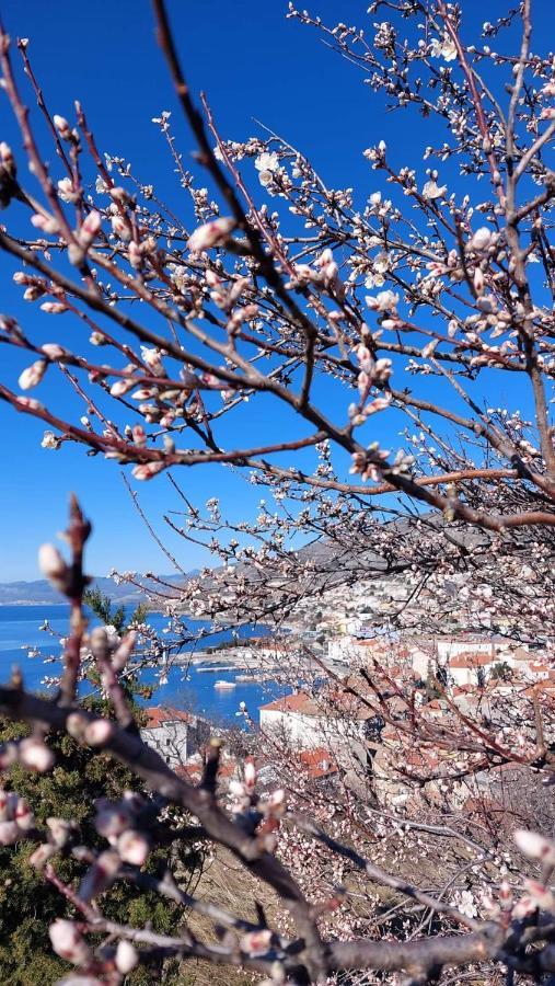 Milojka Διαμέρισμα Senj  Εξωτερικό φωτογραφία