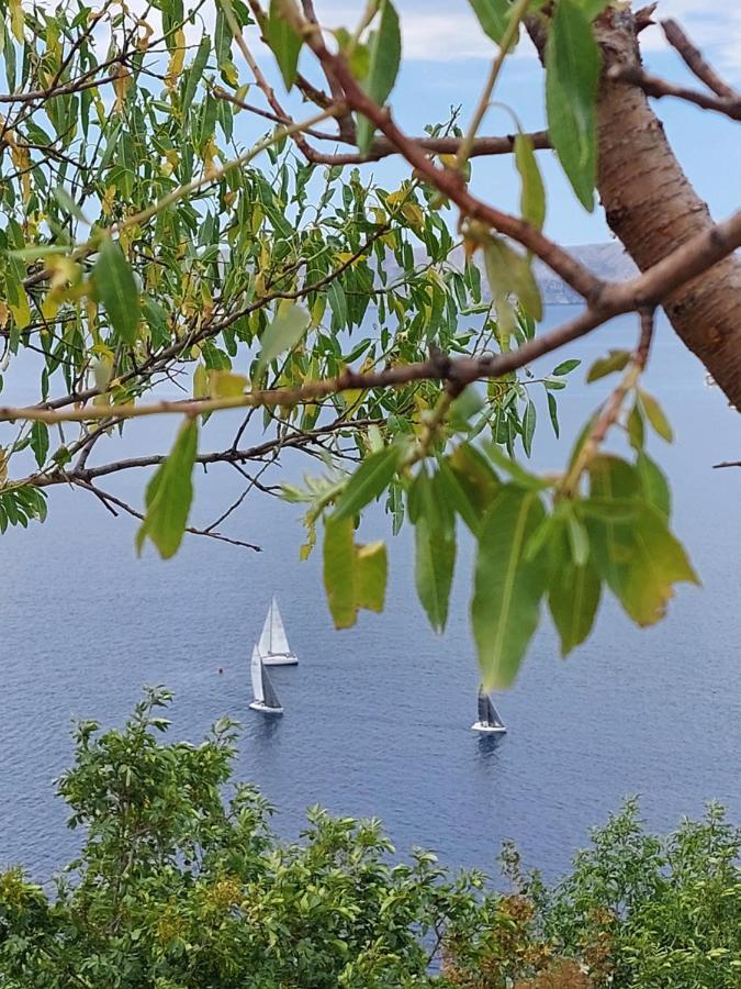 Milojka Διαμέρισμα Senj  Εξωτερικό φωτογραφία